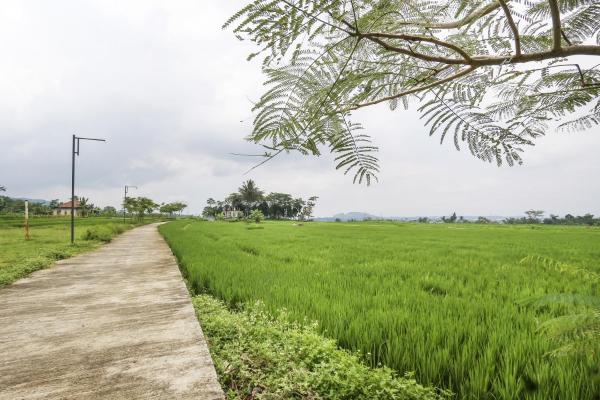A la foto es mostra l'objecte OYO Homes 91151 Desa Wisata Kreatif Perdamaian Srumbung Gunung situat a la ciutat de Bawen.