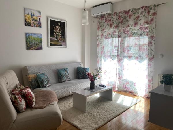 A la foto es mostra l'objecte Alexandra apartment situat a la ciutat de Banja Luka.