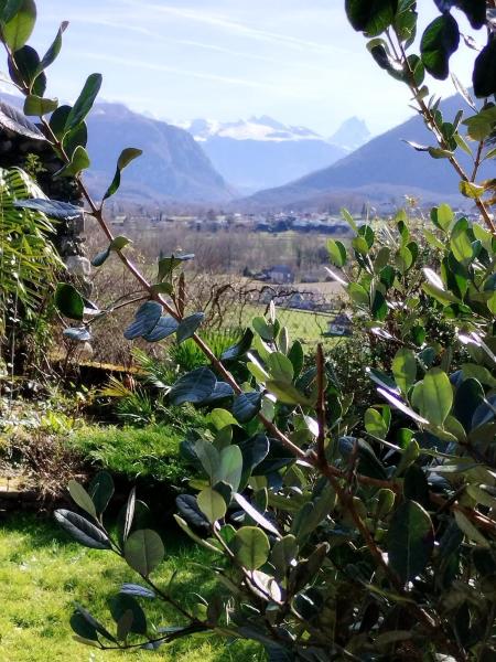 Chez Mamo - Pyrénées-Atlantiques