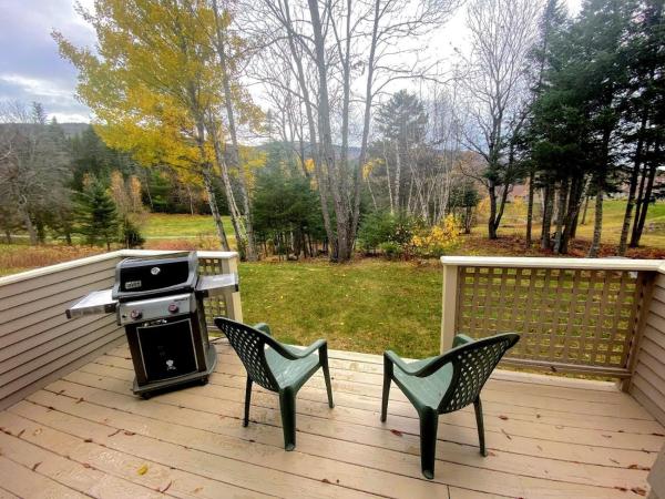 A la foto es mostra l'objecte FV28 Fairway Village home on the Mt Washington golf course situat a la ciutat de Carroll.