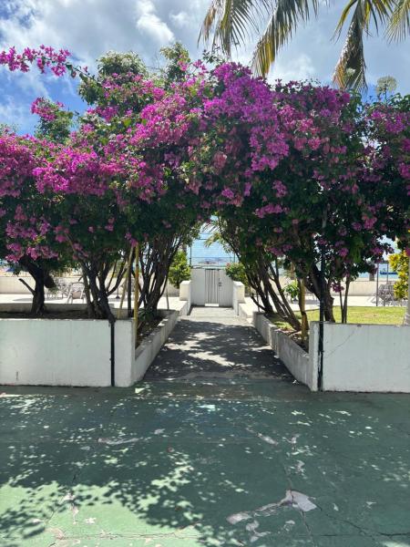 A la foto es mostra l'objecte Apto 3 quartos pé na areia Prox de Recife situat a la ciutat de Recife.