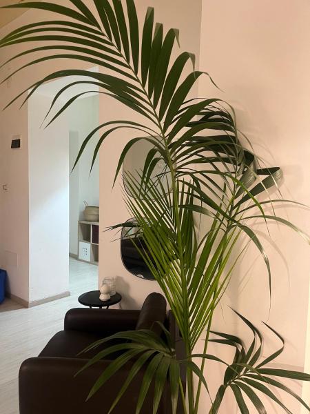 Deodato guesthouse, Catania