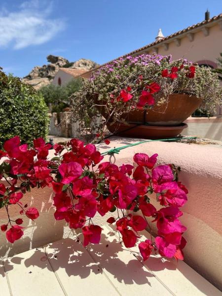 The photo shows the Capo d Orso - Borgo dell Orso - Casa vacanze located in the city of Proiettore.