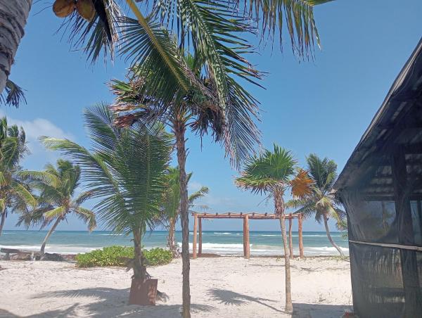 Auf dem Foto ist das Objekt La cabaña del pescador in der Stadt Tócuaro zu sehen.