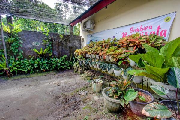 A la foto es mostra l'objecte Hotel O Inn Homestay situat a la ciutat de Lombok.