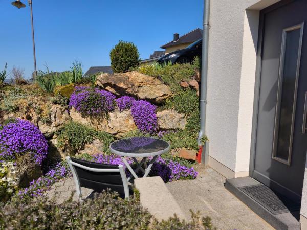 A la foto es mostra l'objecte Ferienwohnung Ries am Weinberg situat a la ciutat de Altrich.