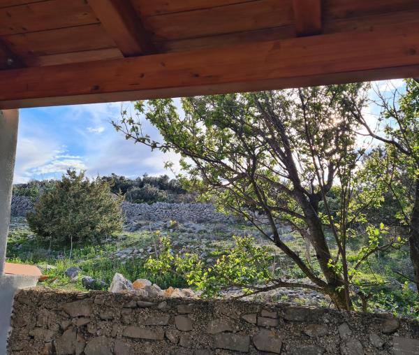 Zdjęcie 2: Tiny House Laurus - Stivan, Cres - 900 m to Merascica beach