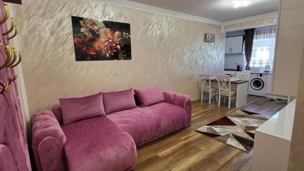 Na zdjęciu widoczny jest obiekt Aly Apartaments Suceava położony w mieście Sfîntu Ilie.