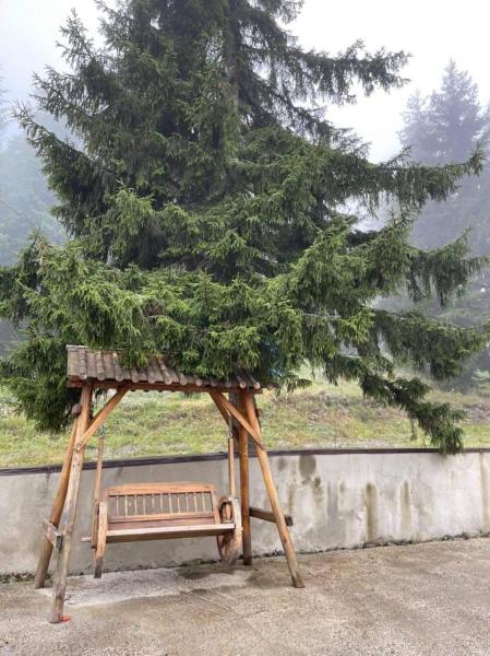 A la foto es mostra l'objecte Cottage Gvazi's situat a la ciutat de Bakuriani.