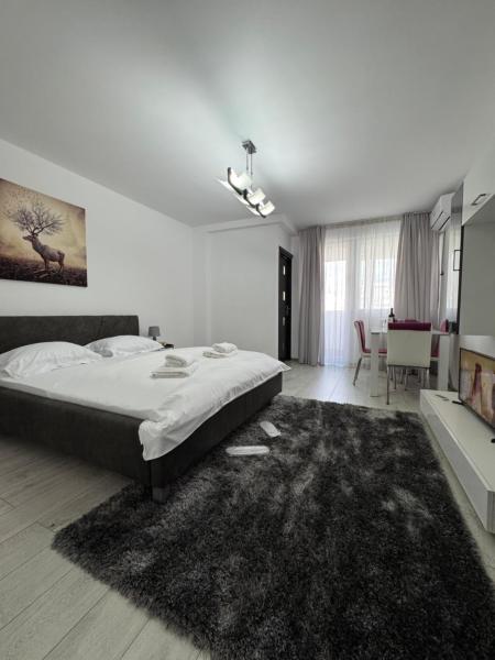A la foto es mostra l'objecte LUXURY studio PLAZA M DRUMUL TABEREI situat a la ciutat de Bucarest.