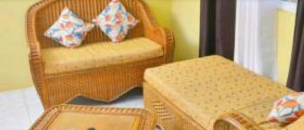 Essentials Suite & Car Rental photo 3