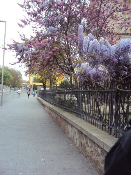 Apartment Alyosha, Burgas