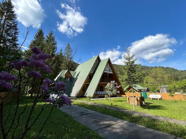 A la foto es mostra l'objecte Vila Bradul Tarcău situat a la ciutat de Negulesti.