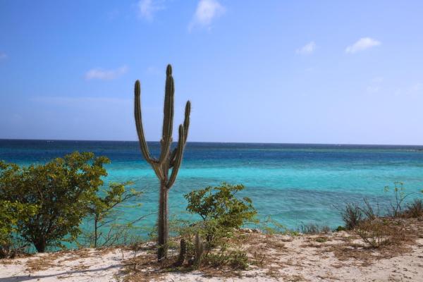 The photo shows the Kukwisa Retreat located in the city of Savaneta.