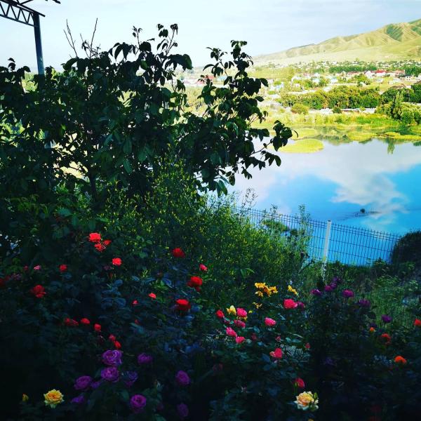 Foto 6: Панорама
