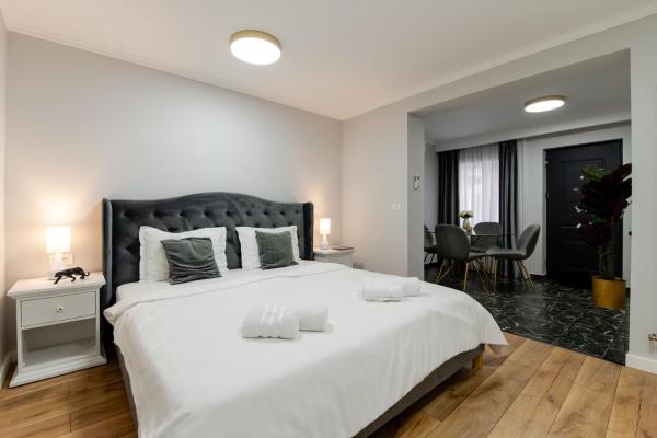 På billedet ses objektet VIBE Villa beliggende i byen Timişoara.