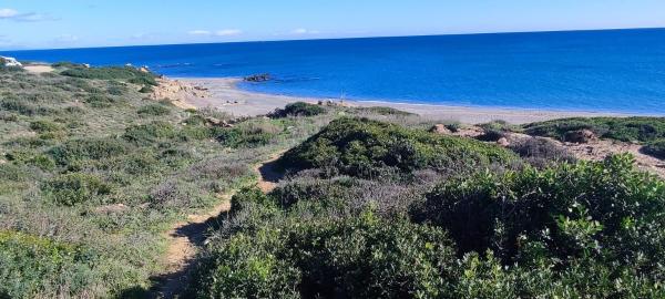 Na zdjęciu widoczny jest obiekt la casa de la playa położony w mieście La Alcaidesa.