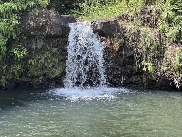 På billedet ses objektet Kikala Waterfall Lodge beliggende i byen Hilo.