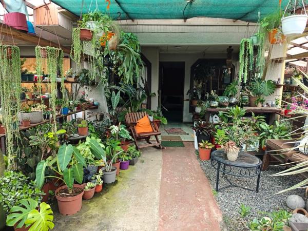 The photo shows the Casa Maranta located in the city of Palmitos.
