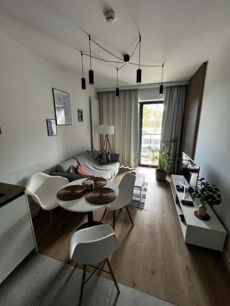 Na zdjęciu widoczny jest obiekt Apartament Seaview Rogowo Shellter 117Ł położony w mieście Rogowo.