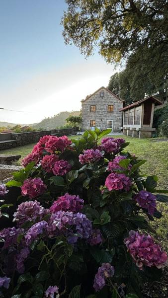 Na zdjęciu widoczny jest obiekt Casa da Mena - Casa de Campo no Caramulo położony w mieście Campia.