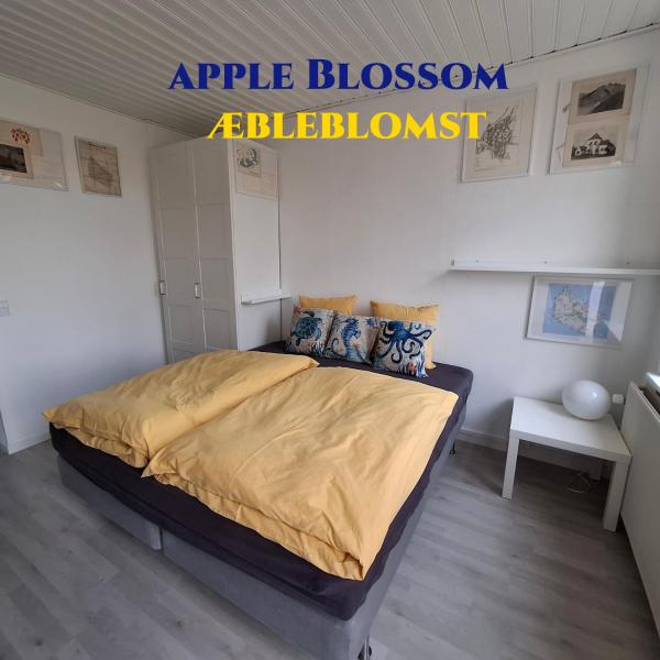 Στη φωτογραφία φαίνεται το αντικείμενο Apple Blossom Studio - near Rønne and Beach που βρίσκεται στην πόλη Nylars.