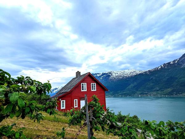 Na fotografii je vidět objekt The queen path right from the house nacházející se ve městě Grimo.