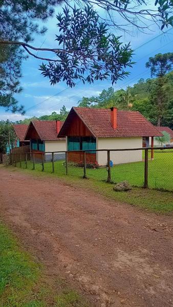 Palmeira Azul - Resende