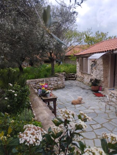 Φωτογραφία 7: Sofias cottage