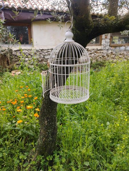 Φωτογραφία 6: Sofias cottage