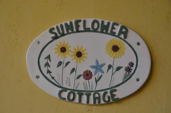 The photo shows the Sunflower Cottage, Austria located in the city of Dienersdorf.