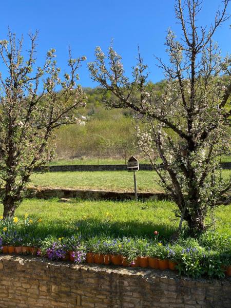 Na zdjęciu widoczny jest obiekt Le Nid - Maison proche de la forêt położony w mieście Frouard.