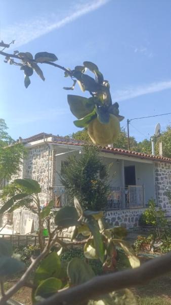 På billedet ses objektet Παραδοσιακή Κατοικία beliggende i byen Prokópion.
