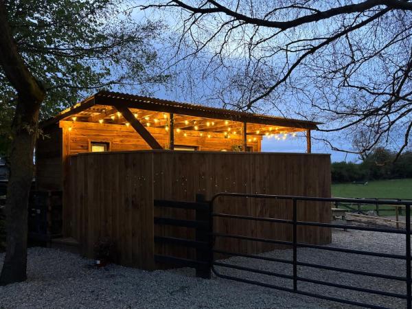 A la foto es mostra l'objecte Rustic Charm Cabin situat a la ciutat de Naas.