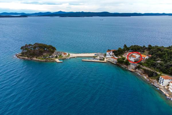 A la foto es mostra l'objecte Apartments by the sea Savar, Dugi otok - 11540 situat a la ciutat de Brbinj.