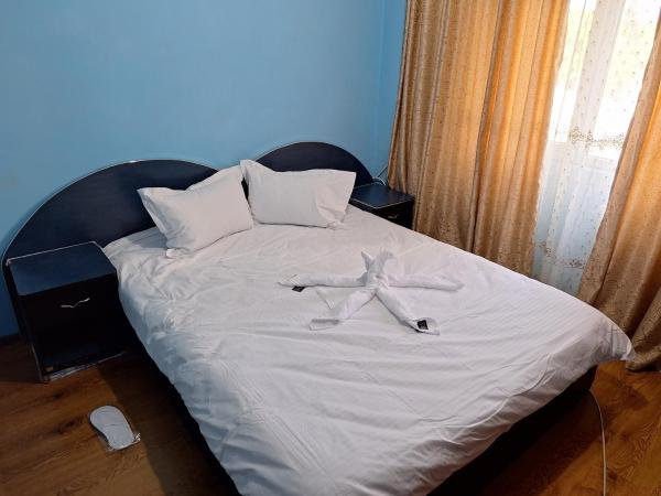 A la foto es mostra l'objecte Boutigue Ghimpati Apartment situat a la ciutat de Stâlpu.