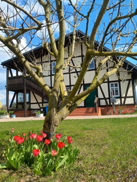 Bild 2: Oderbruchhütte