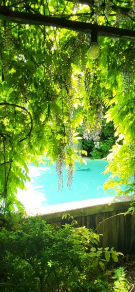 The photo shows the The Secret Garden located in the city of Lankom.