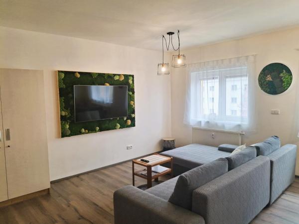 Apartmán Milano Frymburk - República Checa