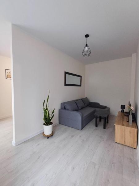 Na zdjęciu widoczny jest obiekt Apartament przy Armii Krajowej I położony w mieście Brzezinki.