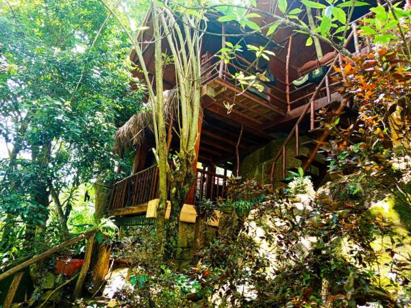 A la foto es mostra l'objecte Jungle Face Inn situat a la ciutat de Ella.
