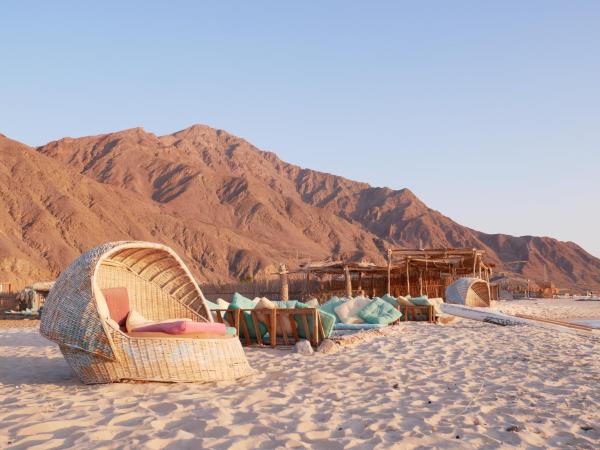 Na fotografii je vidět objekt El Dar Camp nacházející se ve městě Nuweiba.