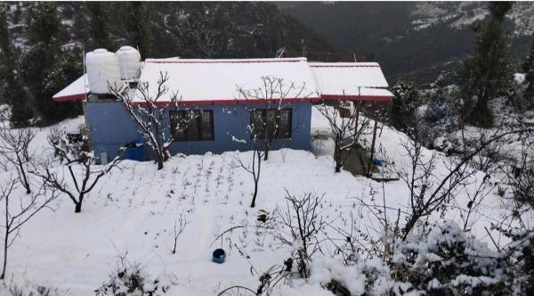 A la foto es mostra l'objecte Himdarshanhomestay situat a la ciutat de Mukteswar.