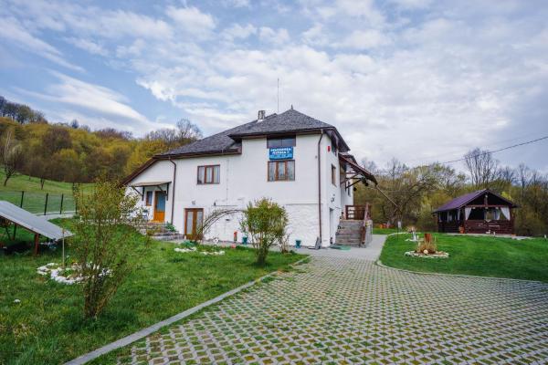 A la foto es mostra l'objecte Pensiunea Nituca situat a la ciutat de Săcel.