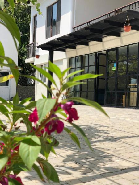 Στη φωτογραφία φαίνεται το αντικείμενο Smiths house που βρίσκεται στην πόλη Surami.