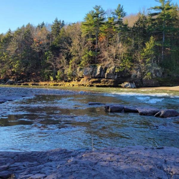 A la foto es mostra l'objecte Catskills retreat - ATV, Hot tub, hiking, fishing situat a la ciutat de Purling.