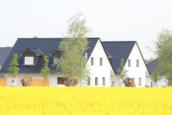 Fh Luv - Hohenfelde