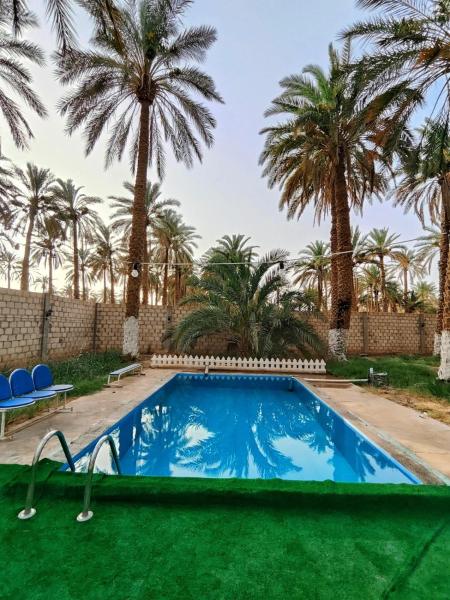 Tast the Sahara of Biskra in tolga privet house, Tolga