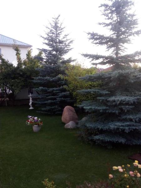 Photo 9 : Престиж