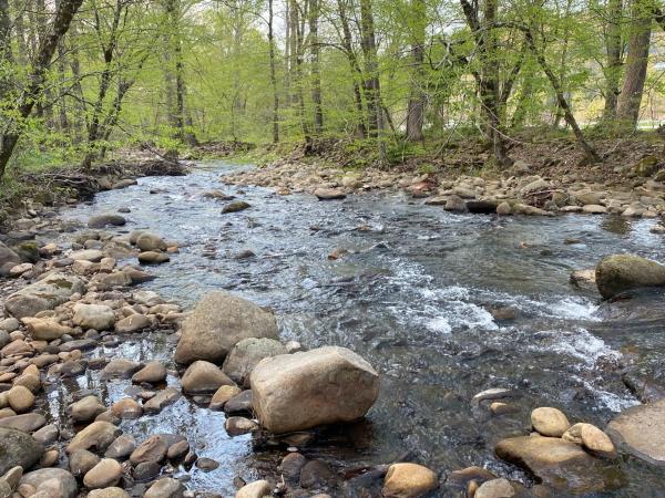 A la foto es mostra l'objecte Home Sweet Home on Cosby Creek situat a la ciutat de Cosby.